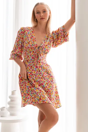 Dandy Dress In Bright Ditsy Floral