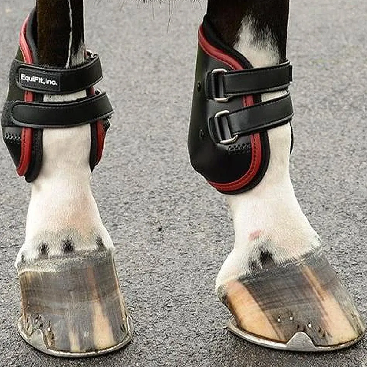 EquiFit AmpTeq Hind Boot