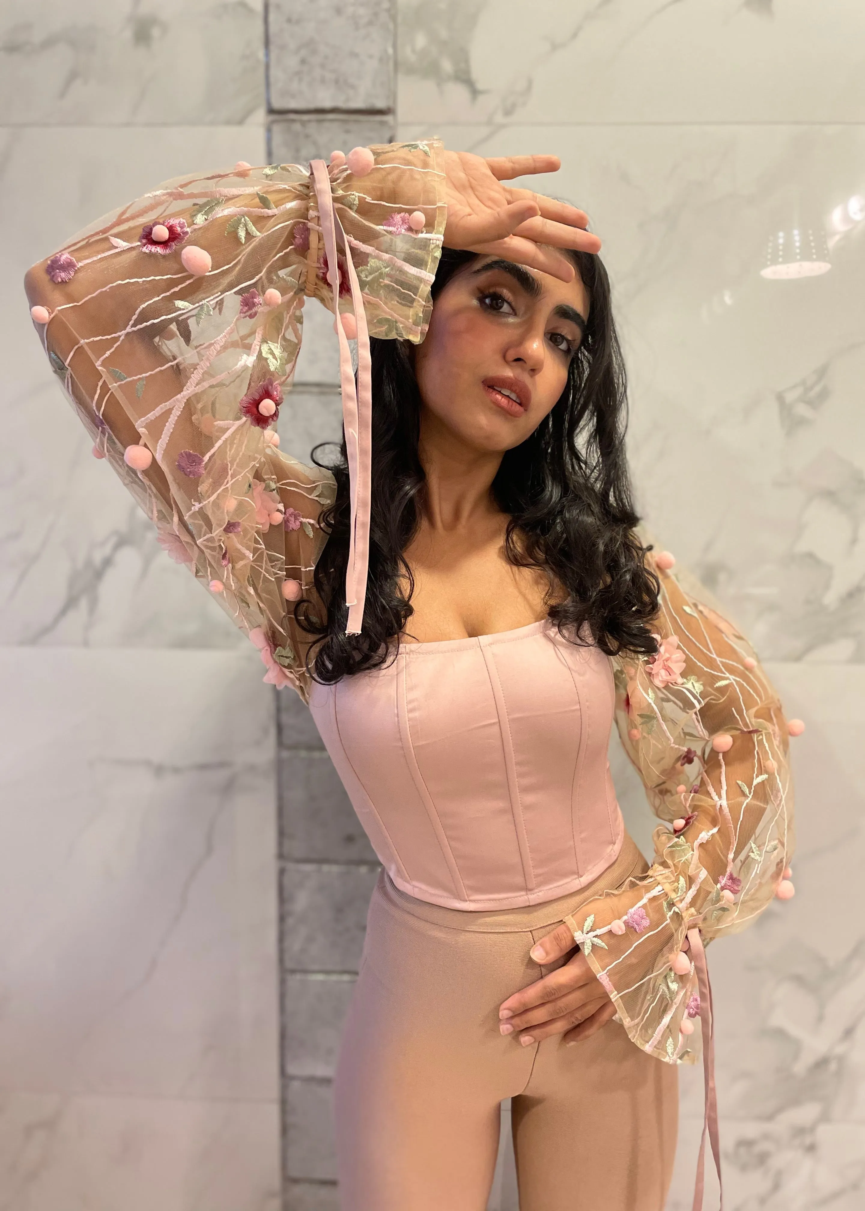 Sasha Blush Embroidered Corset Top CL