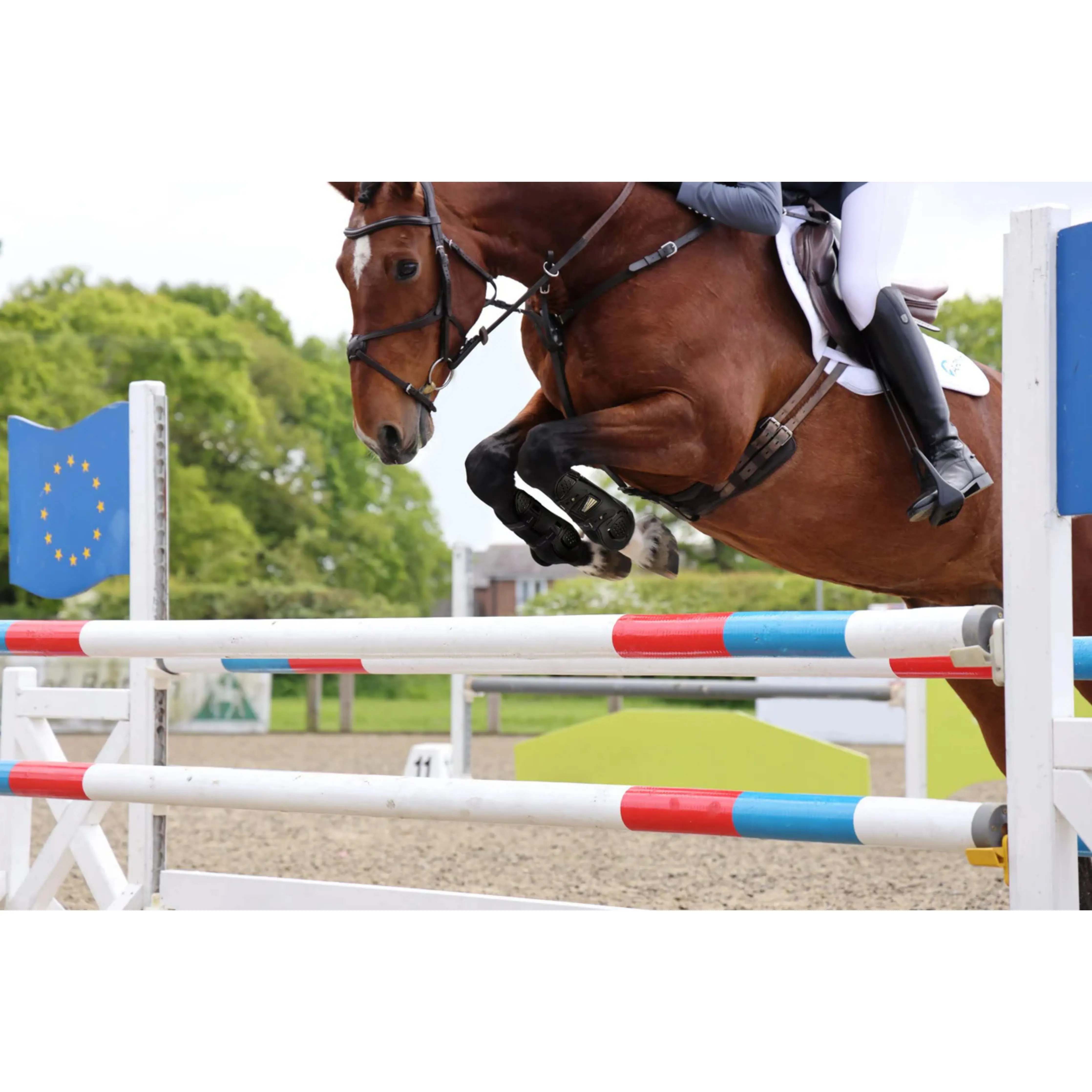 Shires ARMA OXI-ZONE Tendon Boots